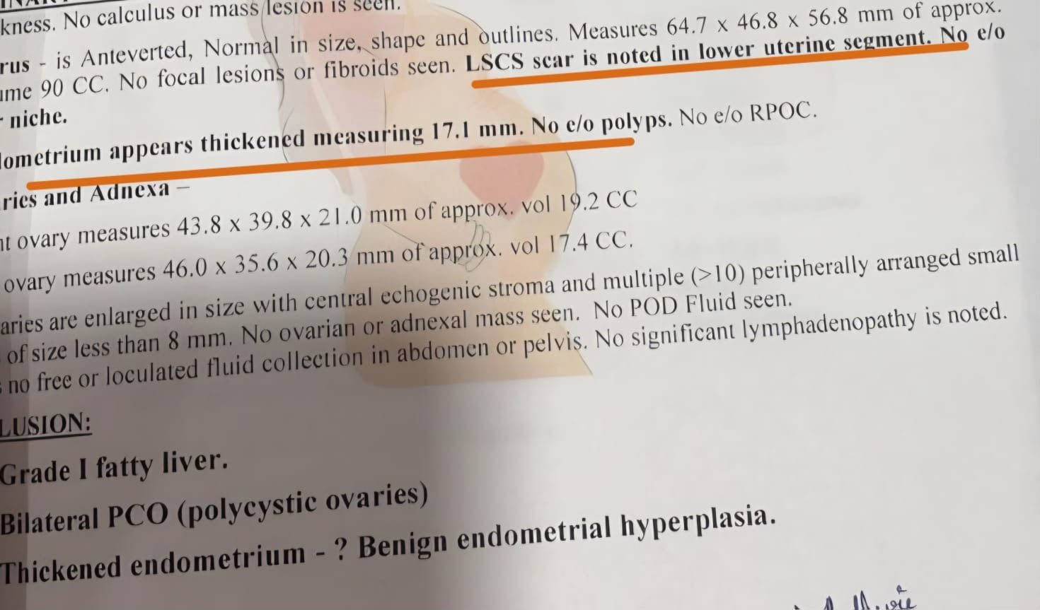 Client report ogf grade 1 fatty liver