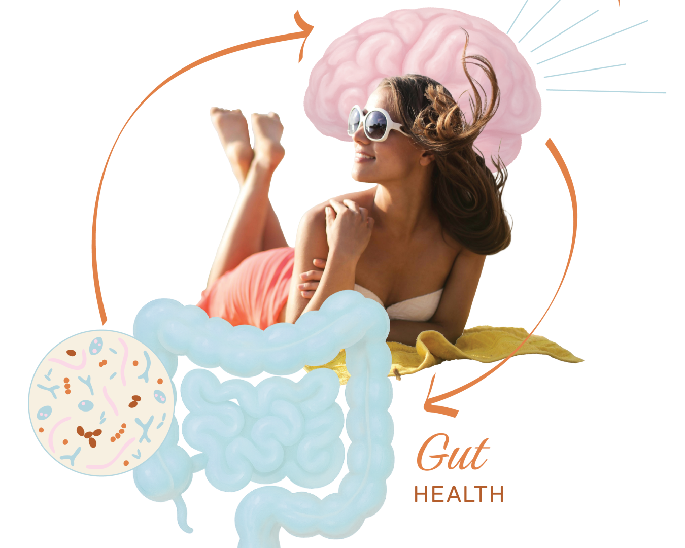 Gut health